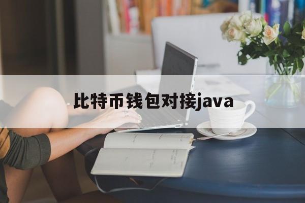 比特币钱包对接java(java比特币钱包开发接口)